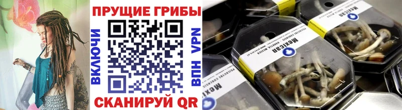 Галлюциногенные грибы Psilocybe  OMG сайт  Сенгилей  цены наркотик 